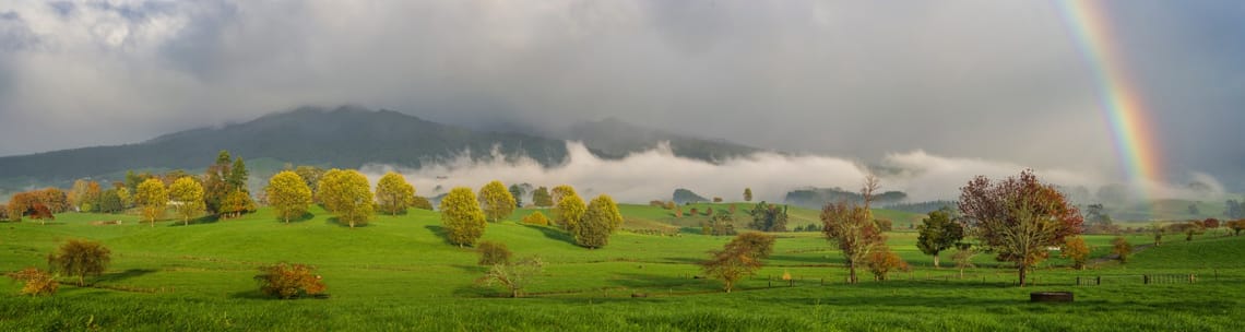 Pirongia Rainbow