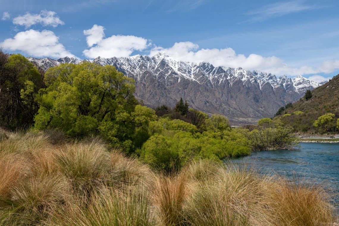 Remarkables from the track