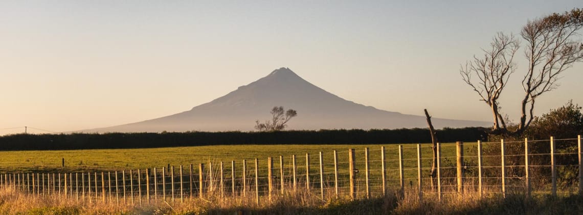 Taranaki Fence-2