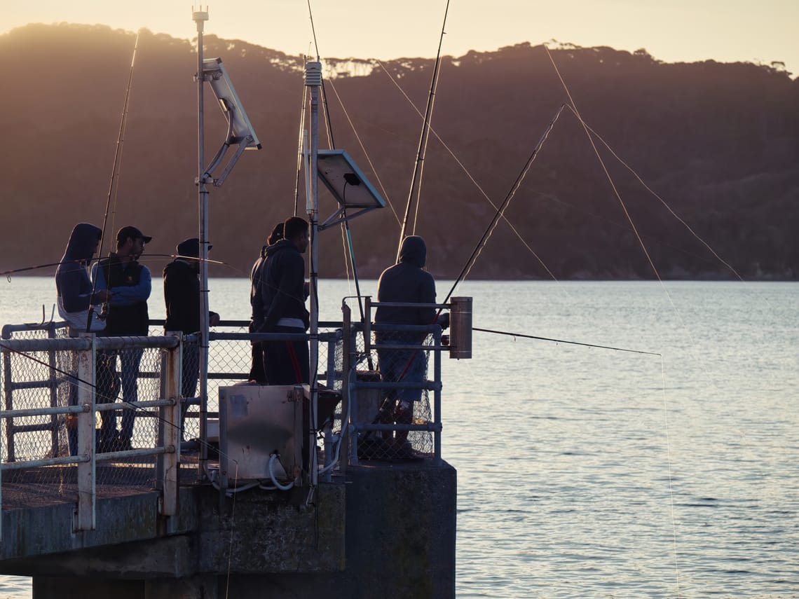 Fishing at Raglan Wharf