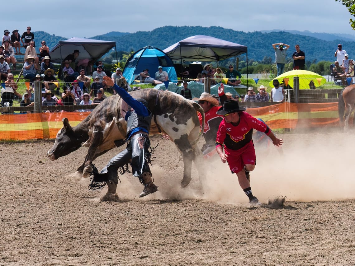 Bull riding