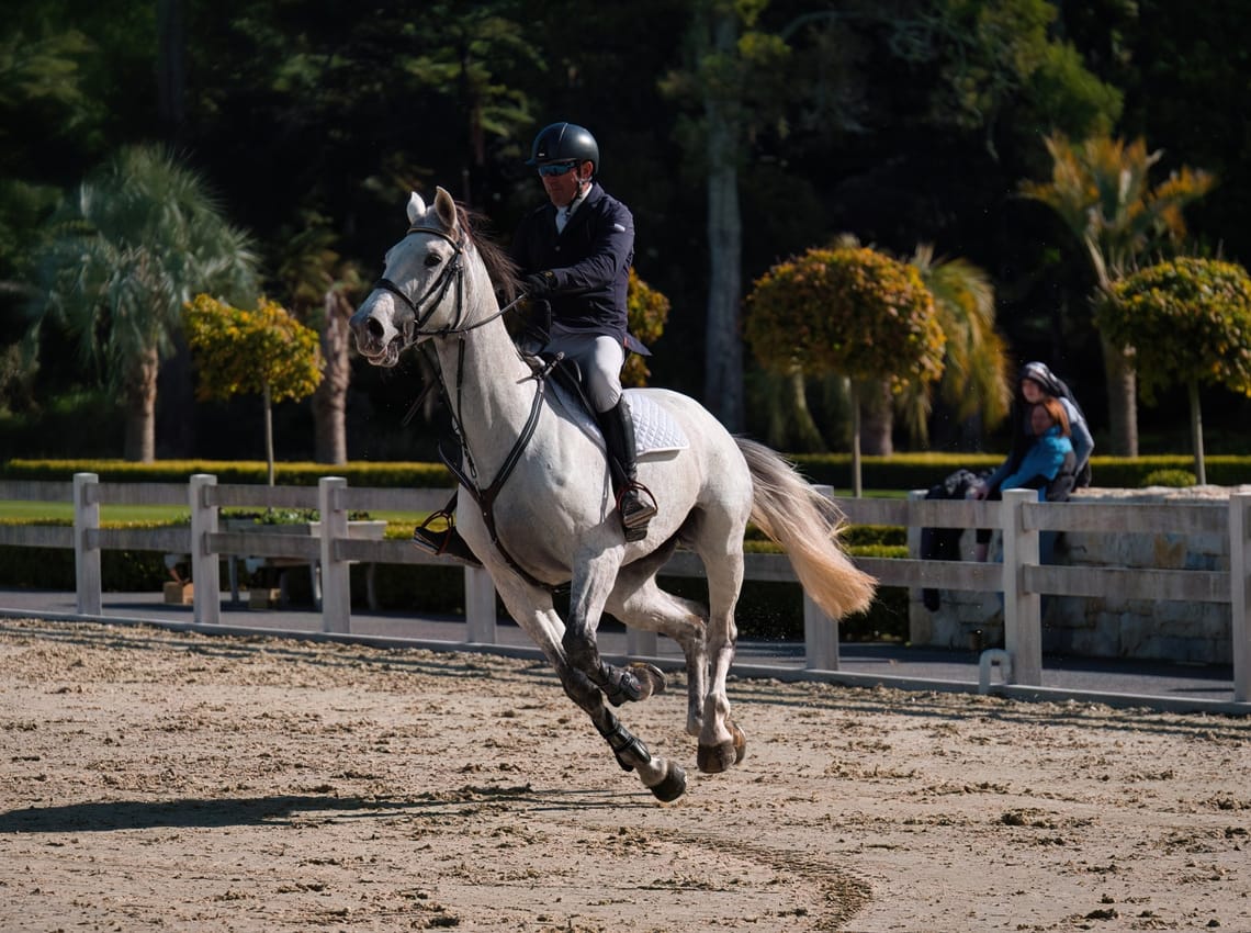 Show Jumping