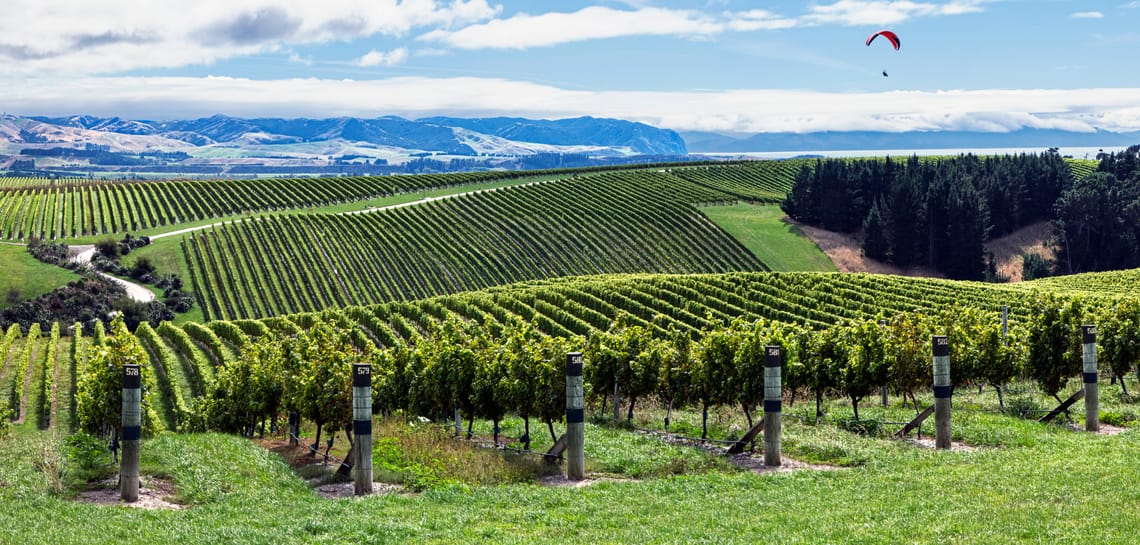 Yealands Vineyard and Visitor