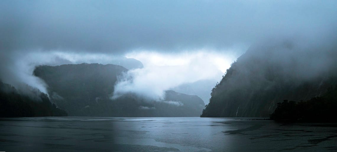 Fiordland clearing