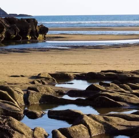 Tranquility of the beach