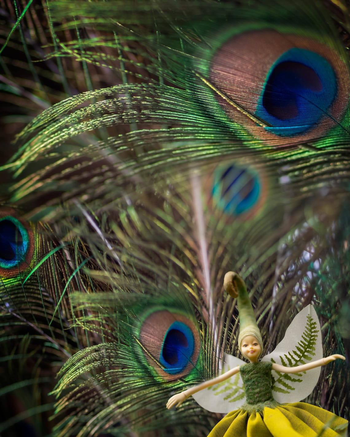 Fairy in a peacock forest