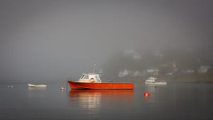 Foggy morning in Wellington