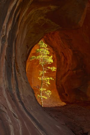 Chapel of light