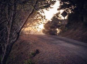 Dirt road sunrise