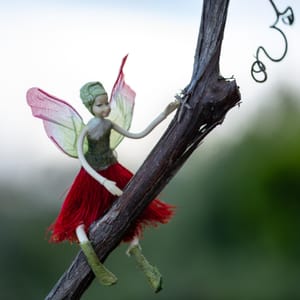 Vine fairy