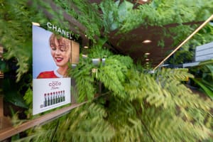 Chanel ferns