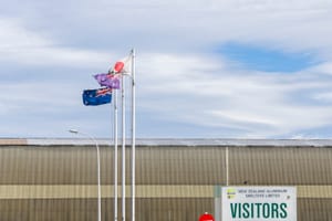 Tiwai flags