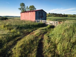 Red Shed