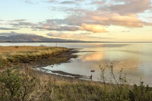 Lake Wairarapa