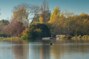 Henley Lake