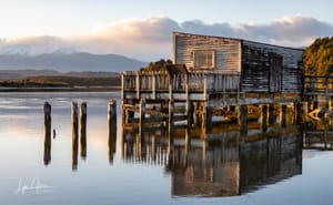 Okarito Boat shed catching the morning sun