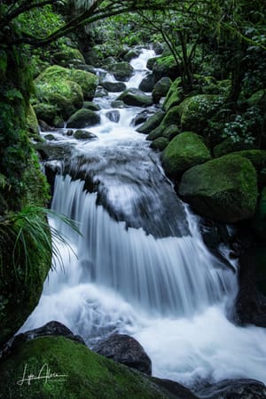 Falls on the lower Wairere Waterfall walkway