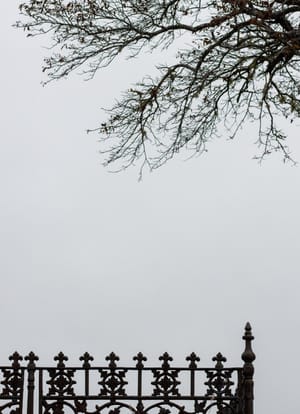 Cemetery Rakiura