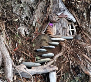 A fairy house in a tree