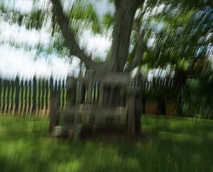 Wooden seat under the tree