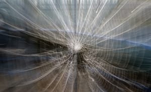 Spiderweb icm