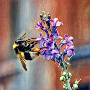 Bee-autiful art