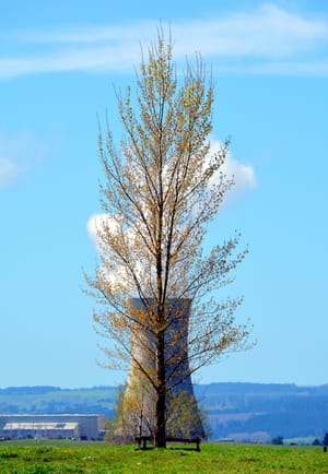 Ohaaki tree and Geothermal Power station