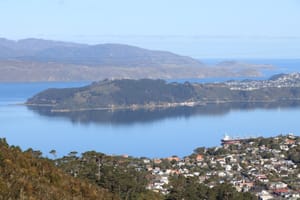 Wellington Harbour on a windless day