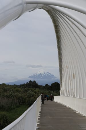 Rewa Rewa pedestrian bridge