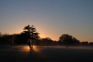 Hagley Park, Christchurch