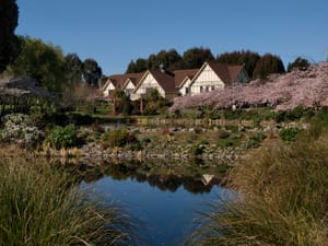 International Pacific College Blossom