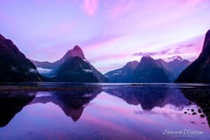 Purple daybreak before sunrise at Milford Sound