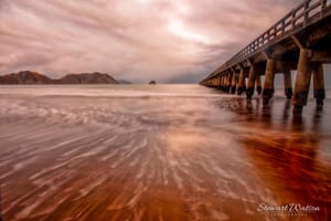 Red tones at Tolaga Bay