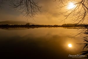 Sunflare at sunrise