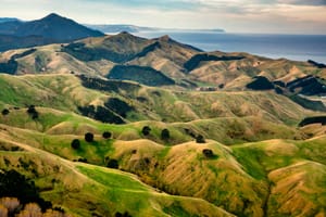 Rolling Wairarapa hills