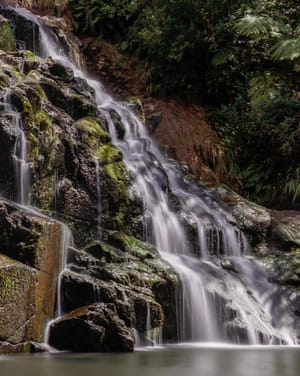 Owharoa Falls in summer