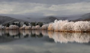 Twizel Hoarfrost