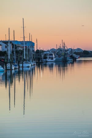 Yachts in the evening