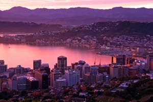 Wellington Sunrise