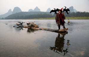 Cormorant fisherman