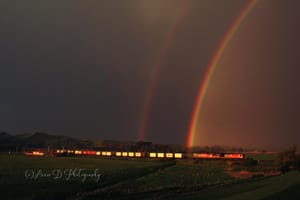 Double Rainbow