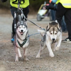 Jesse with Bult and Skye