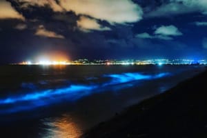 Bioluminescent waves near Napier