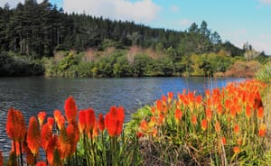 Lake Mangamahoe