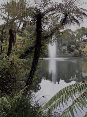 Pukekura Park