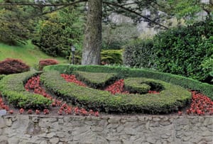 Koru at Botanic Gardens, Wellington