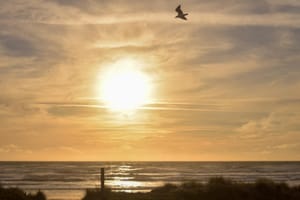 Otaki Beach at sunset