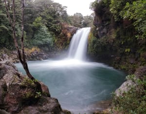 Tawhai Falls Pool