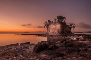 The Tor of Torbay - Auckland