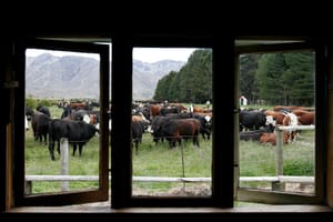 Red Gate Hut